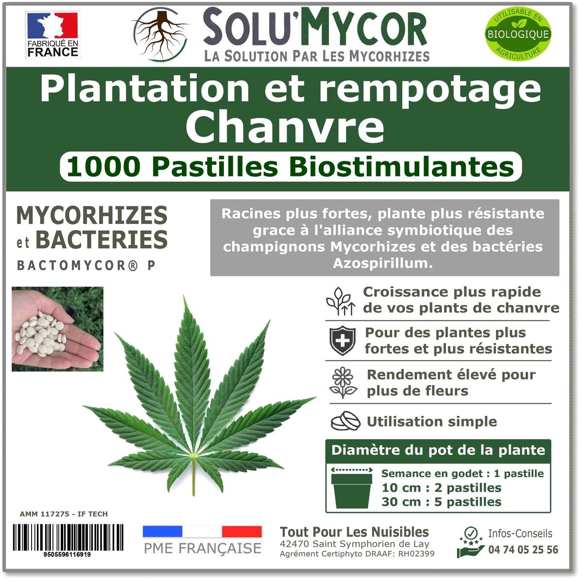 Pastilles biostimulantes MYCORHIZES et bactéries pour semis et plantation spécial chanvre, SOLU