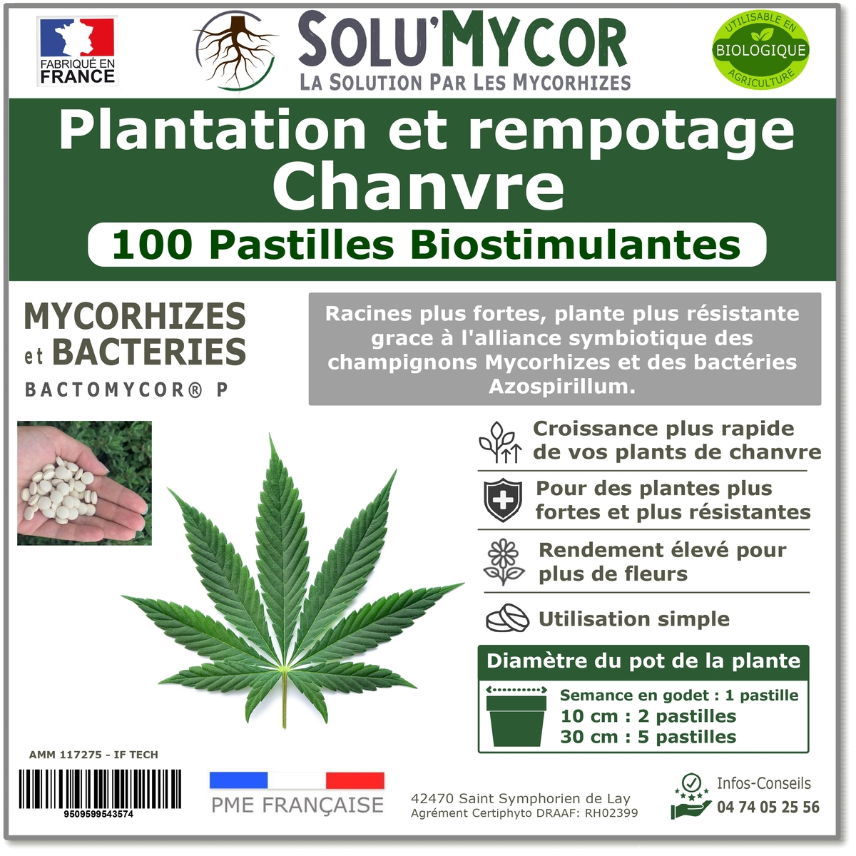 Pastilles biostimulantes MYCORHIZES et bactéries pour semis et plantation spécial chanvre, SOLU