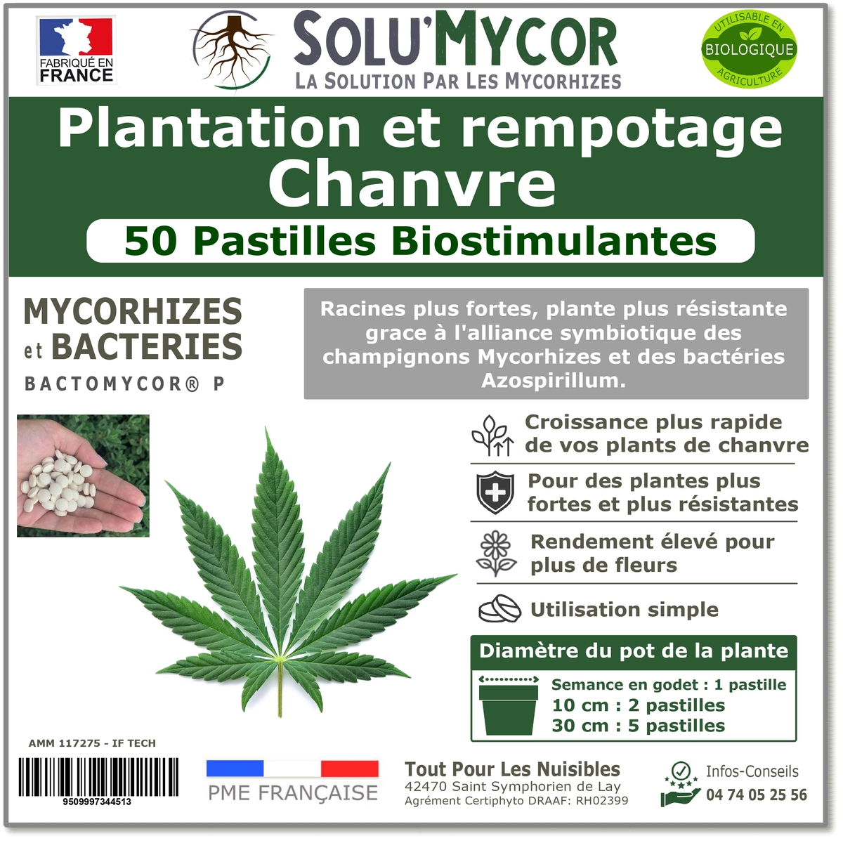 Pastilles biostimulantes MYCORHIZES et bactéries pour semis et plantation spécial chanvre, SOLU
