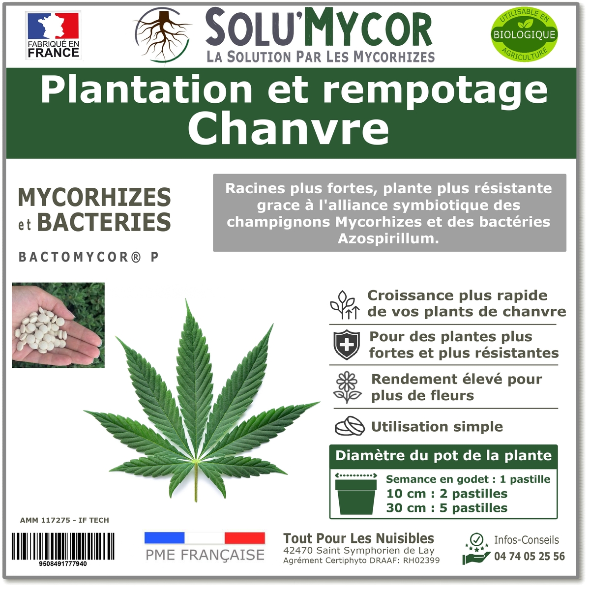 Pastilles biostimulantes MYCORHIZES et bactéries pour semis et plantation spécial chanvre, SOLU