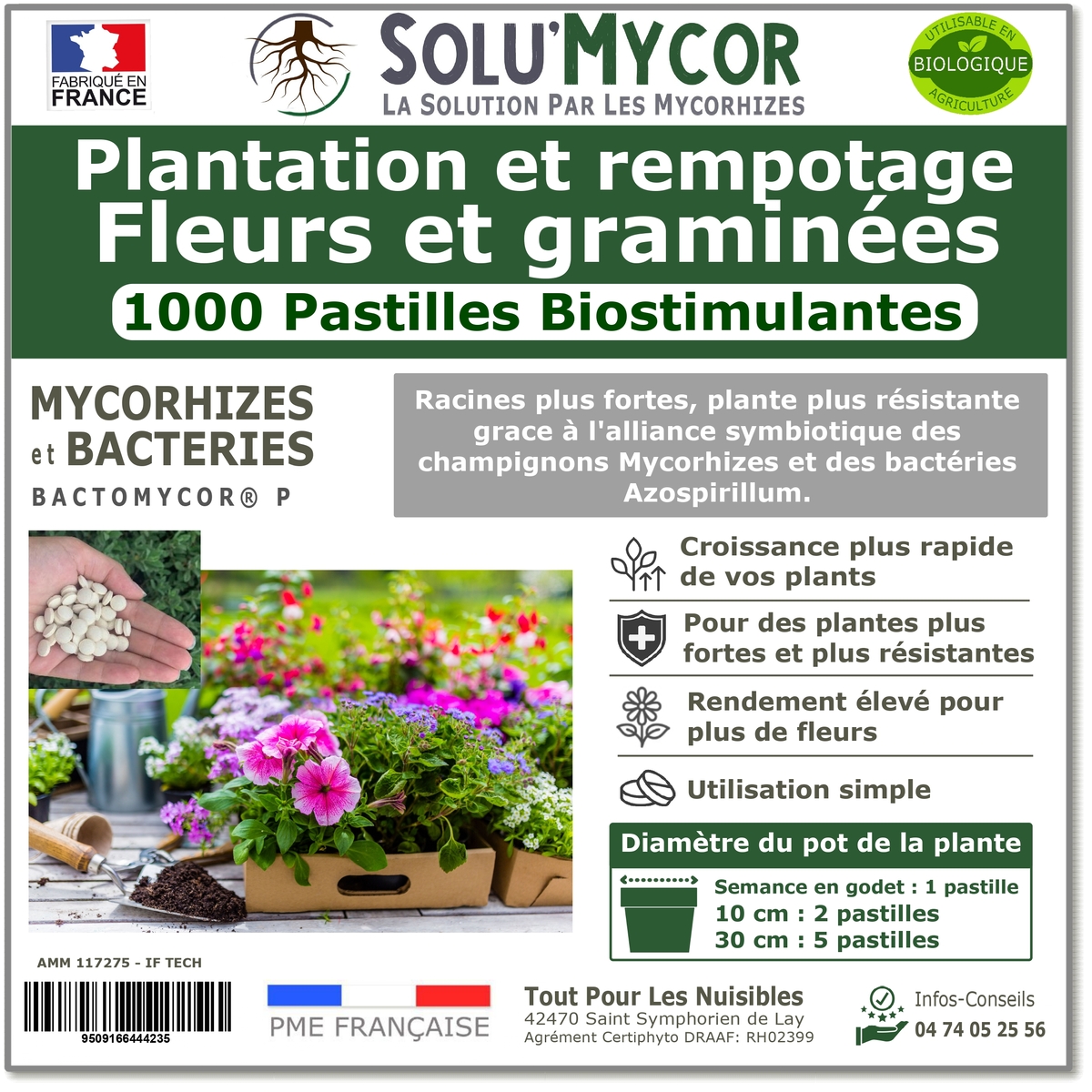 Pastilles biostimulantes MYCORHIZES et bactéries pour semis et plantation spécial Fleurs et graminées, SOLU