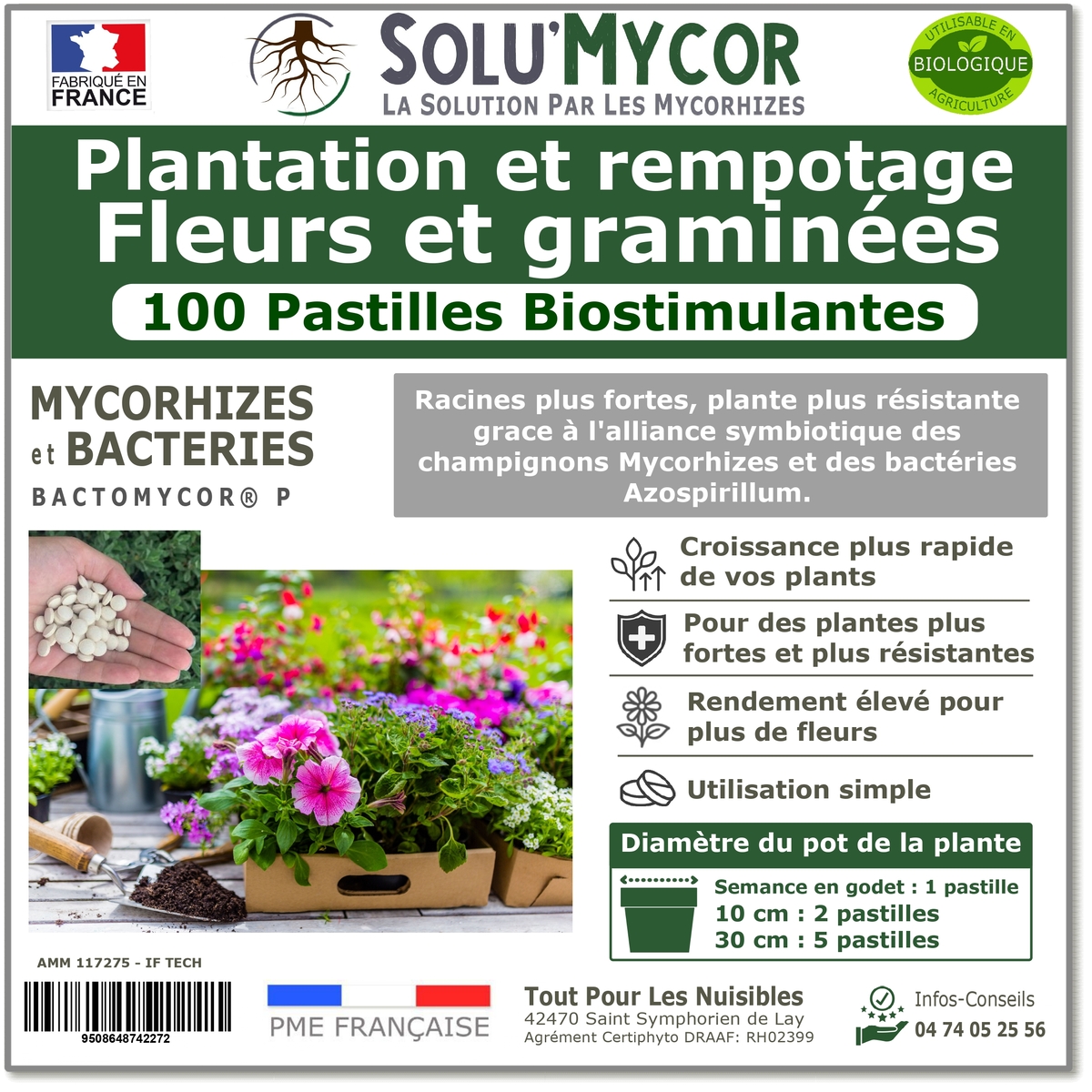 Pastilles biostimulantes MYCORHIZES et bactéries pour semis et plantation spécial Fleurs et graminées, SOLU