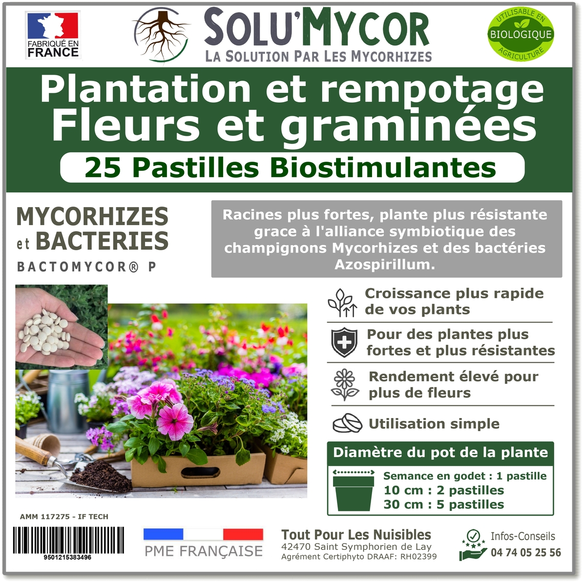 Pastilles biostimulantes MYCORHIZES et bactéries pour semis et plantation spécial Fleurs et graminées, SOLU