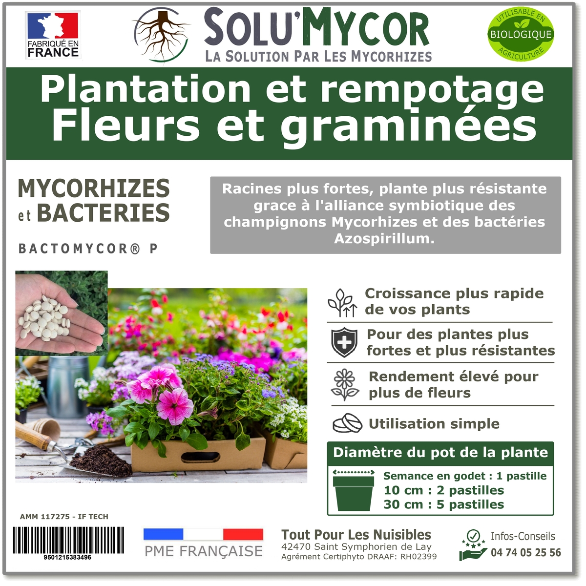 Pastilles biostimulantes MYCORHIZES et bactéries pour semis et plantation spécial Fleurs et graminées, SOLU