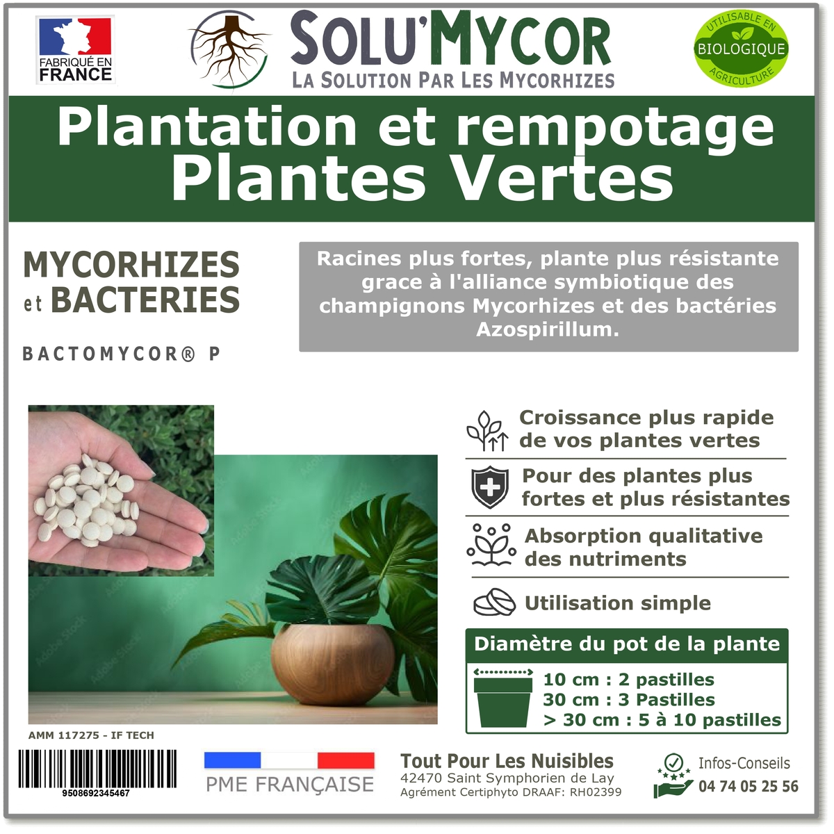 Pastilles biostimulantes MYCORHIZES et bactéries pour plantes vertes, SOLU