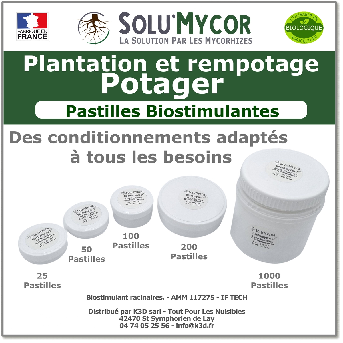 Pastilles biostimulantes MYCORHIZES et bactéries pour semis et plantation spécial potager, SOLU