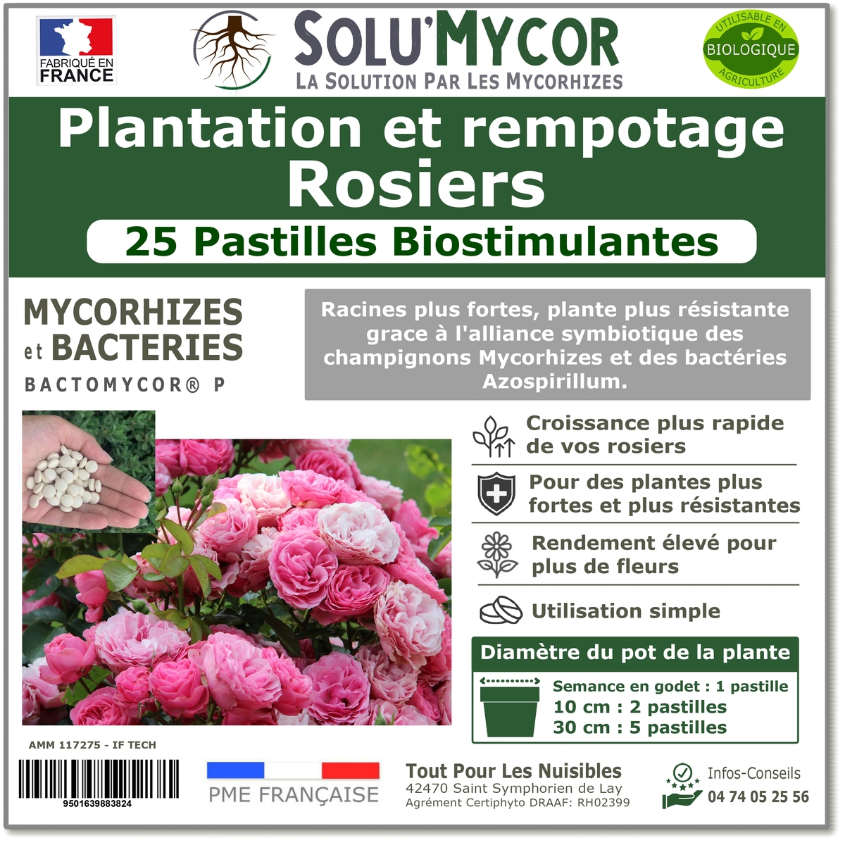 Pastilles biostimulantes MYCORHIZES et bactéries pour semis et plantation spécial rosiers, SOLU