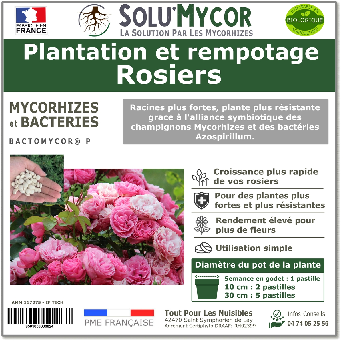 Pastilles biostimulantes MYCORHIZES et bactéries pour semis et plantation spécial Rosiers, SOLU